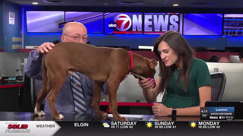 Lawton Animal Welfare Superintendent, Roy Rodrick, joins 7News to talk about this week’s furry...