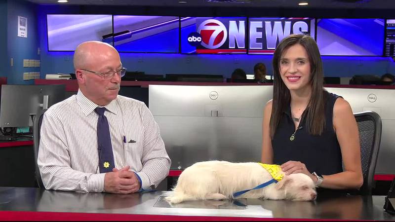 Roy Rodrick from Lawton Animal Welfare joins 7News in the studio to show off this well mannered...