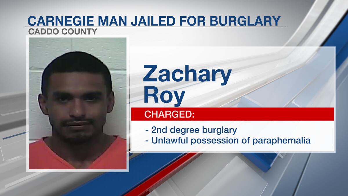 Roy faces nearly a decade in prison on multiple charges including burglary and concealing...